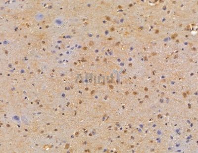 Валидация Affinity DF9979 - 23021