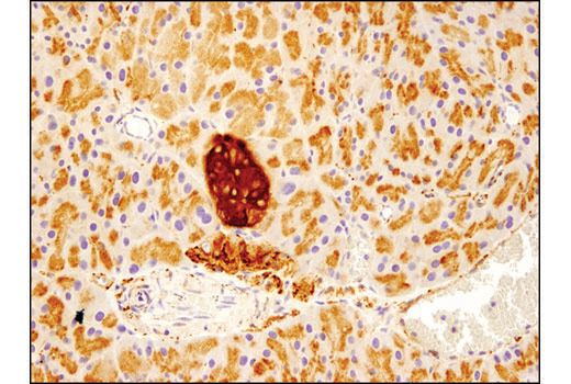 Валидация AssayVector ARM2663(4986)