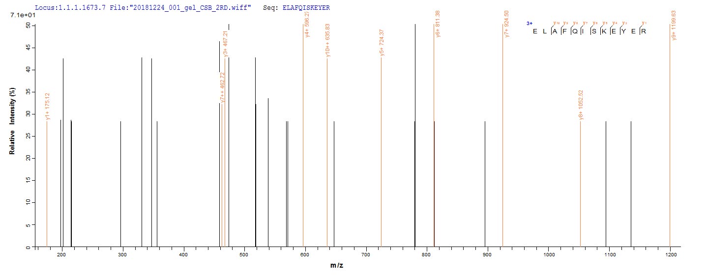 LC-MS/MS