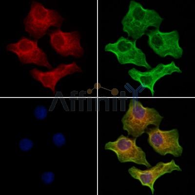 Валидация Affinity DF12307 - 6688