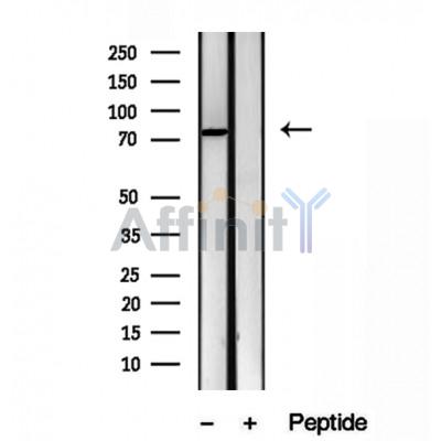 Валидация Affinity DF12059 - 6117