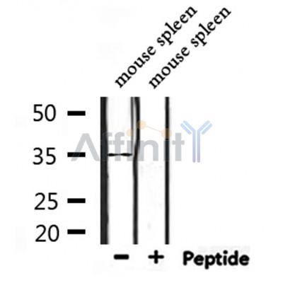 Валидация Affinity DF10251 - 5840