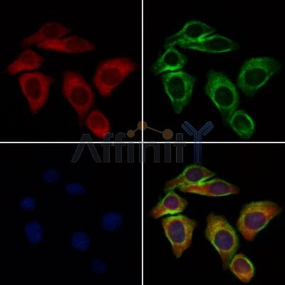 Валидация Affinity DF4697 - 16378