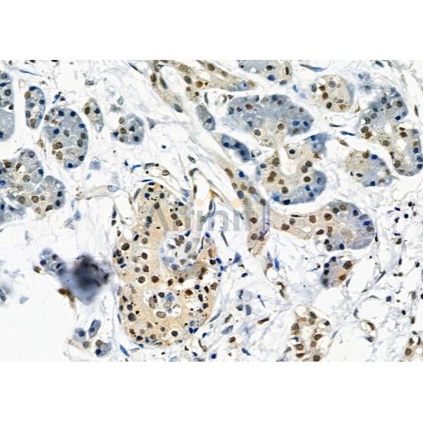 Валидация Affinity DF7373 - 19099