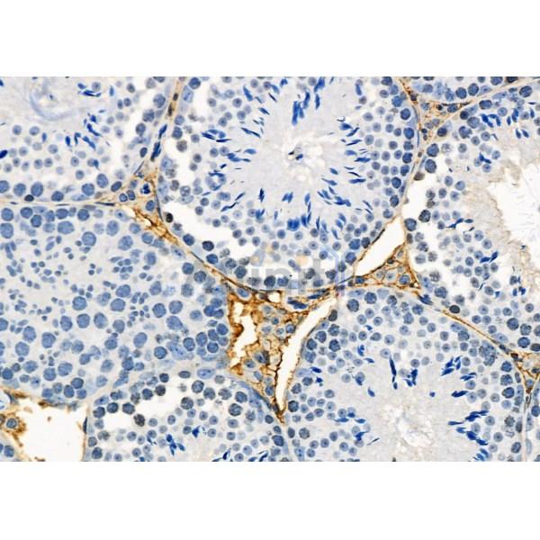 Валидация Affinity DF10251 - 5841