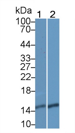 40805