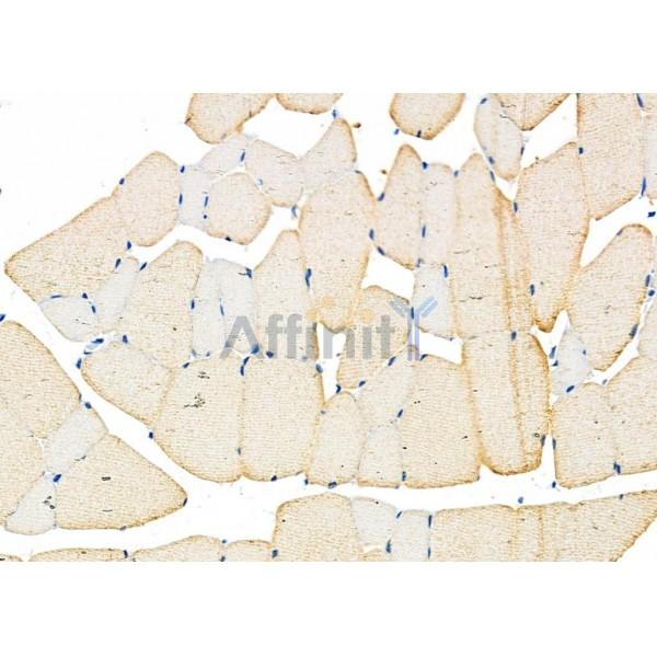 Валидация Affinity DF9332 - 21814