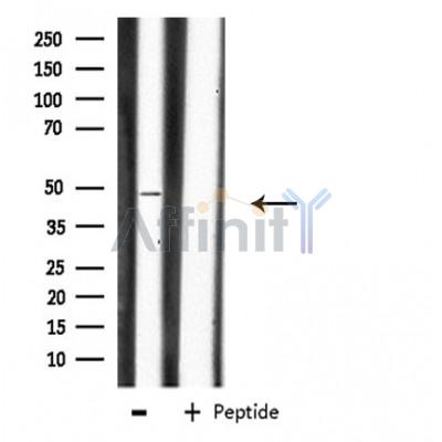 Валидация Affinity DF3880 - 15040