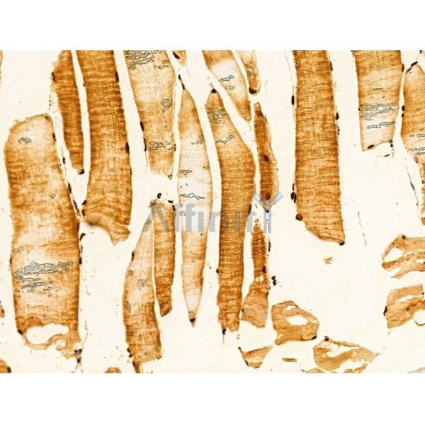 Валидация Affinity DF12181 - 6406