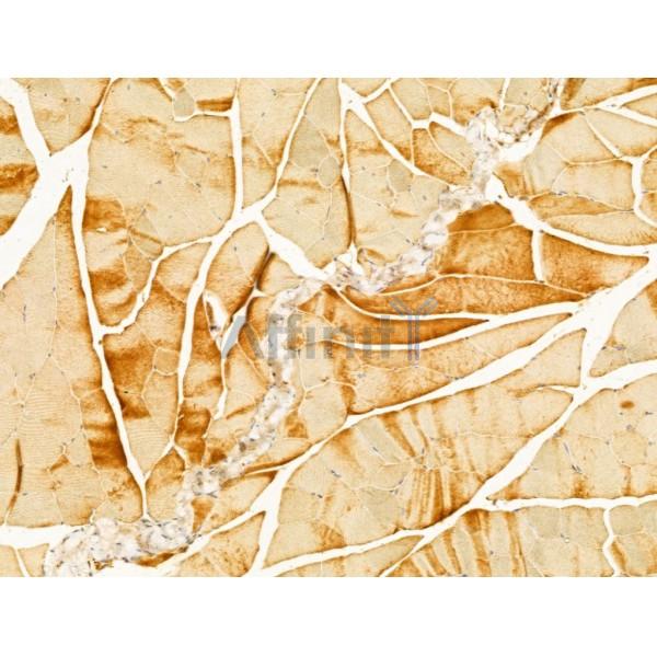 Валидация Affinity DF12219 - 6497