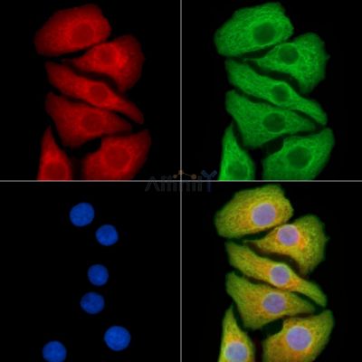 Валидация Affinity DF14085 - 9874