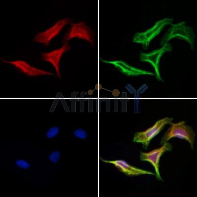 Валидация Affinity DF4047 - 15310