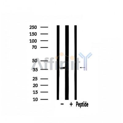 Валидация Affinity DF3671 - 14676