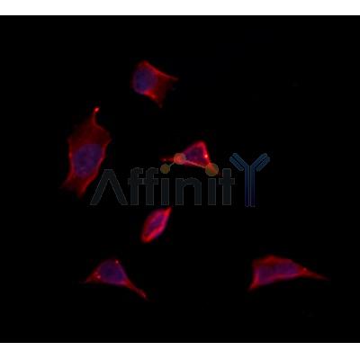 Валидация Affinity DF12291 - 6654