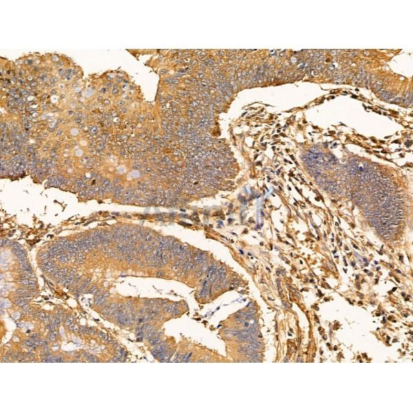 Валидация Affinity DF13700 - 9305