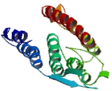 Purinergic Receptor P2Y, G Protein Coupled 2 (P2RY2) Purinergic Receptor P2Y, G Protein Coupled 2 (P2RY2)