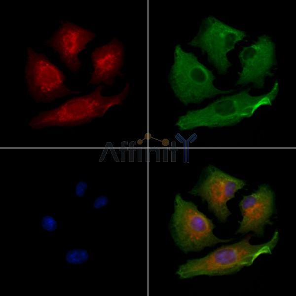 Валидация Affinity DF9744 - 22556