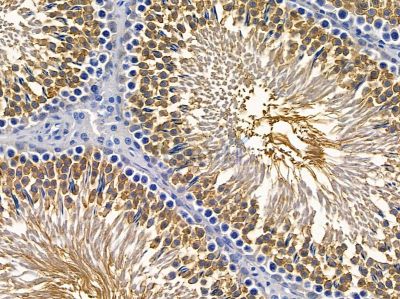 Валидация Affinity DF4536 - 16114