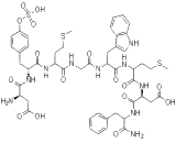 Cholecystokinin 8, Octapeptide (CCK8)