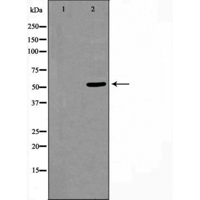 Валидация Affinity DF3384 - 14270