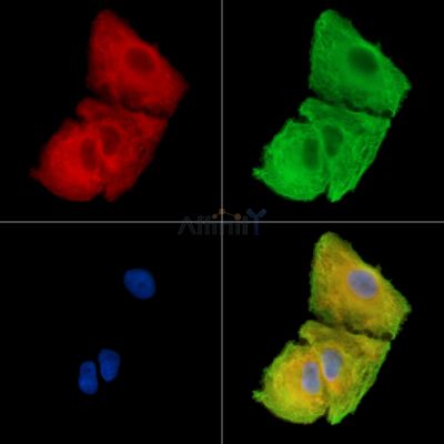 Валидация Affinity DF15132 - 11389