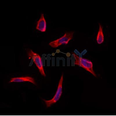 Валидация Affinity DF12367 - 6820