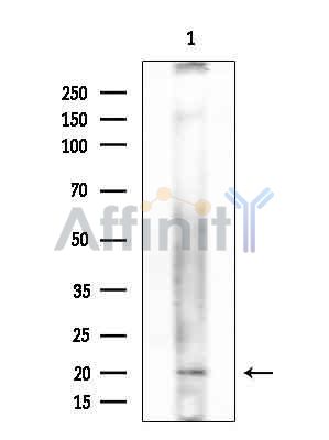 Валидация Affinity DF9789 - 22643