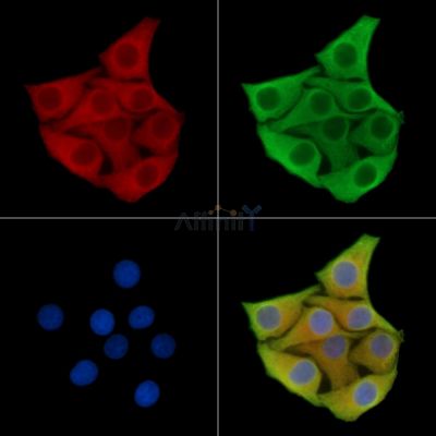 Валидация Affinity DF13982 - 9739