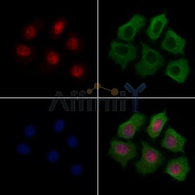 Валидация Affinity AF7776 - 4487