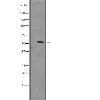 Валидация Affinity DF2429 - 13039