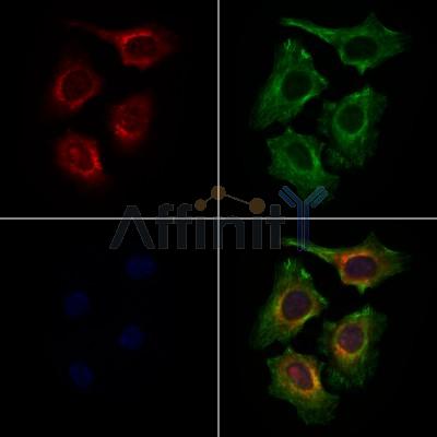 Валидация Affinity DF4886 - 16678