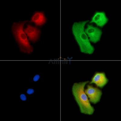 Валидация Affinity DF13828 - 9519