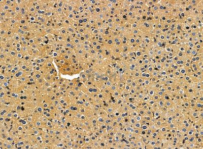 Валидация Affinity DF14251 - 10102