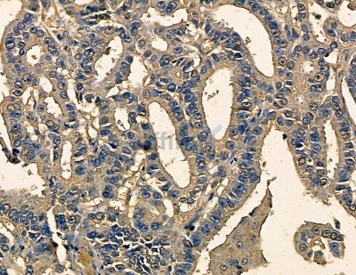 Валидация Affinity DF14070 - 9854