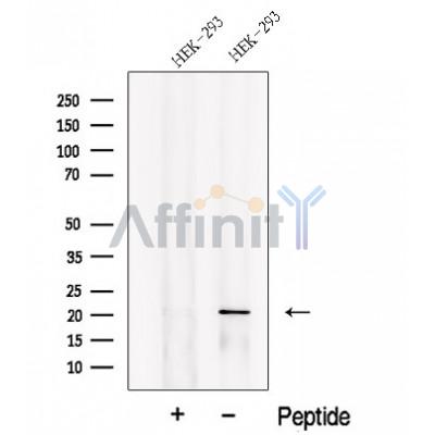 Валидация Affinity DF12699 - 7359