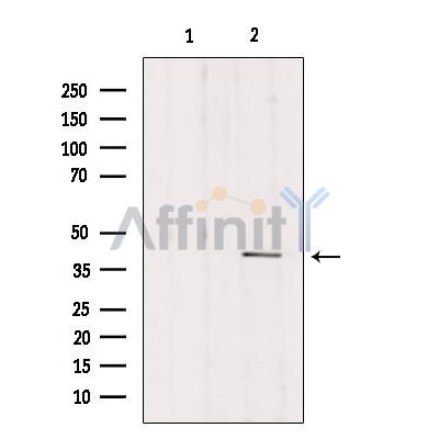 Валидация Affinity DF7062 - 18700