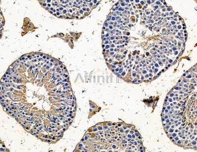 Валидация Affinity DF14681 - 10731