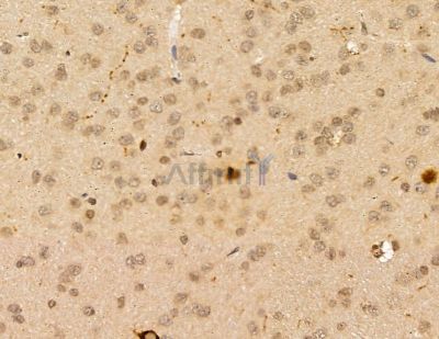 Валидация Affinity DF9800 - 22662