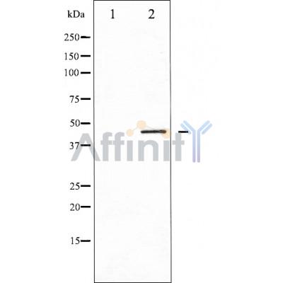 Валидация Affinity DF3139 - 13928