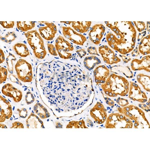 Валидация Affinity DF7419 - 19160