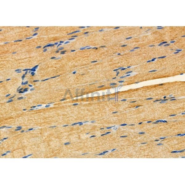 Валидация Affinity DF7310 - 18996