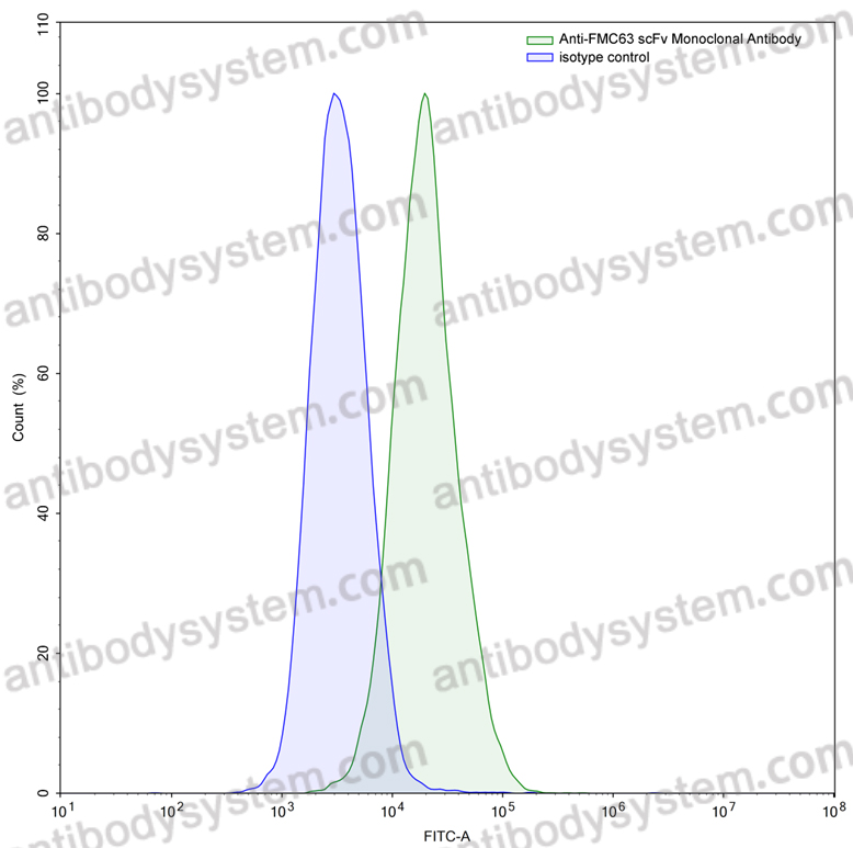 Валидация AntibodySystem RAD10801