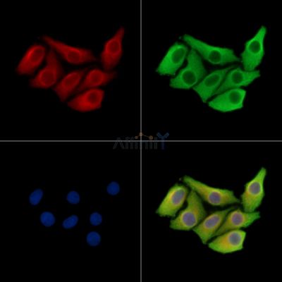 Валидация Affinity DF16115 - 12700