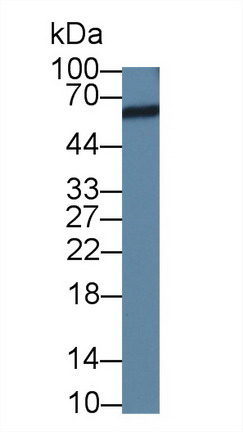 8906