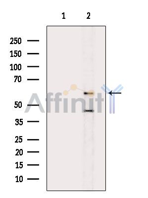 Валидация Affinity DF14543 - 10533