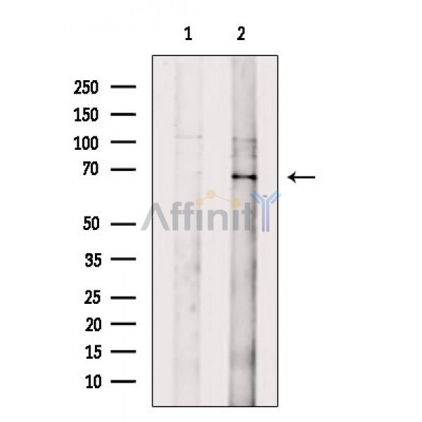 Валидация Affinity DF4939 - 16764