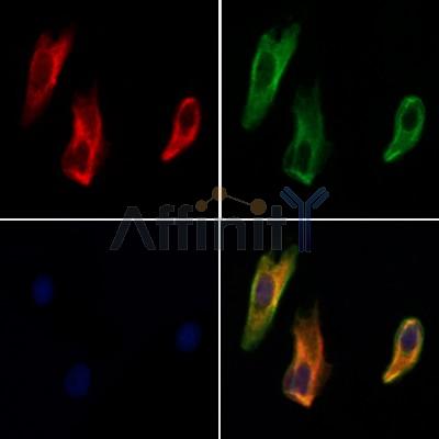 Валидация Affinity DF12945 - 7706