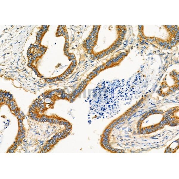 Валидация Affinity DF7311 - 18998