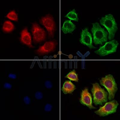 Валидация Affinity AF6192 - 3421