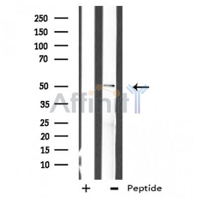 Валидация Affinity DF3425 - 14328
